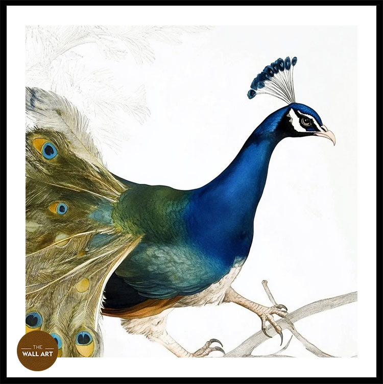 images/products/peacock_on_branch/peacock_on branch_BLACK_PWB.jpg